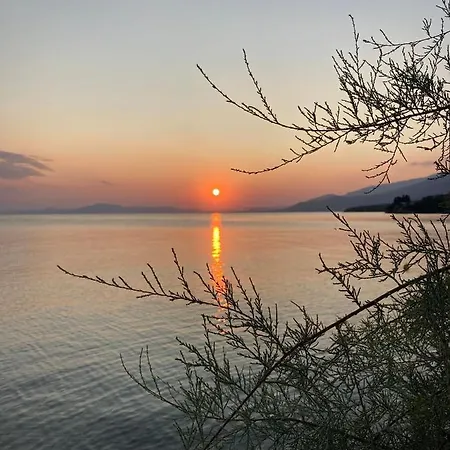 Grand Boutique أفيسوس