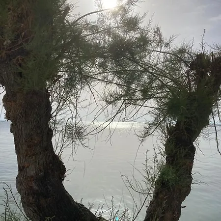 شقة Grand Boutique