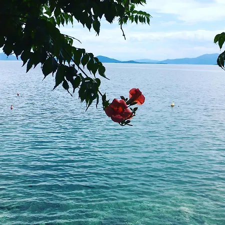 شقة Grand Boutique أفيسوس