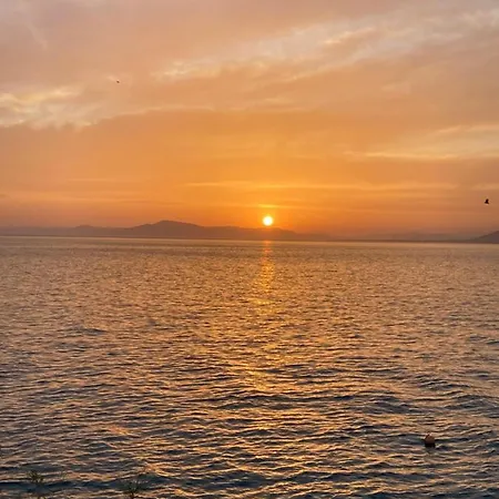 Grand Boutique أفيسوس