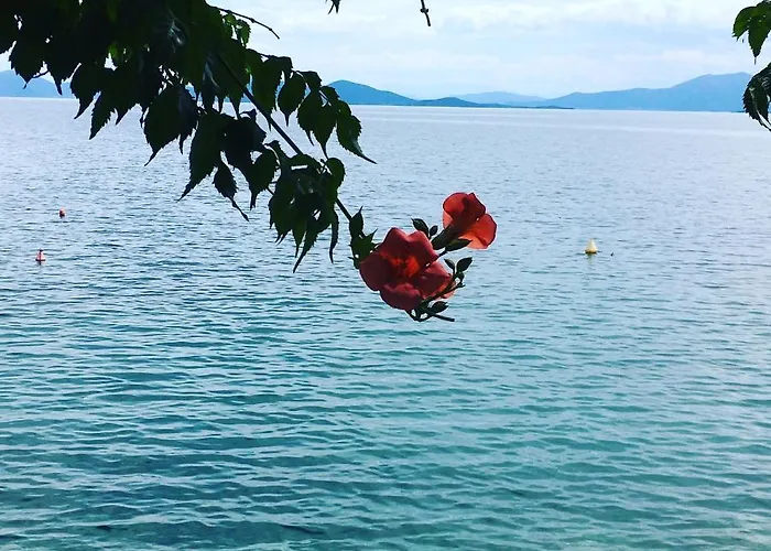 Apartment Grand Boutique Afissos